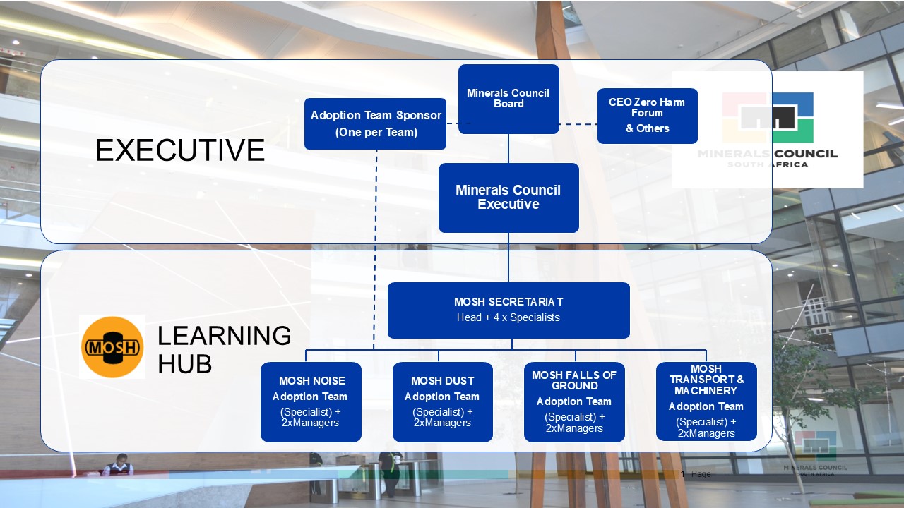 MOSH Learning Hub organisational structure organogram