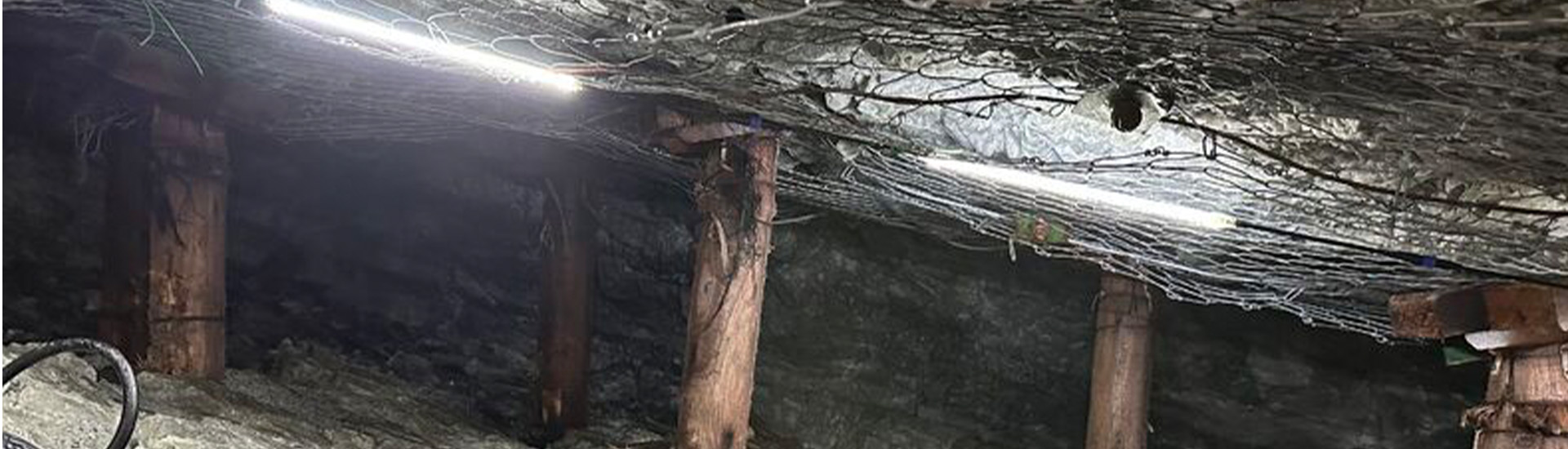 FOG Industry Bow Tie