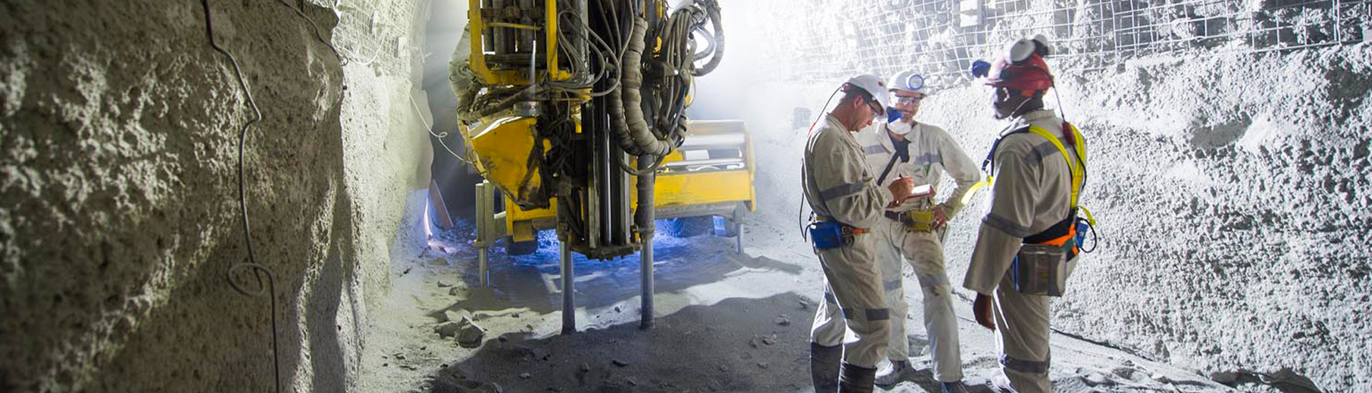 Falls of Ground Action Plan (FoGAP)